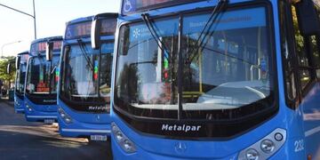 El servicio del 115 fue uno de los apuntados para modificar el sistema de Transporte Urbano de Pasajeros (TUP).