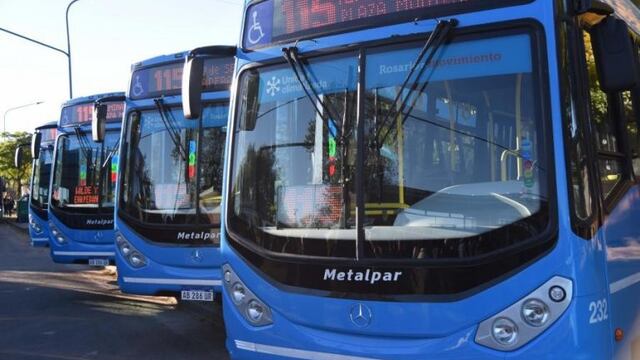 El servicio del 115 fue uno de los apuntados para modificar el sistema de Transporte Urbano de Pasajeros (TUP).