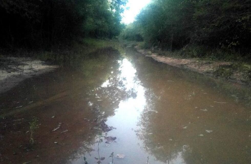 La crecida del río Teuco y Bermejito inundan parajes cercanos a El Impenetrable