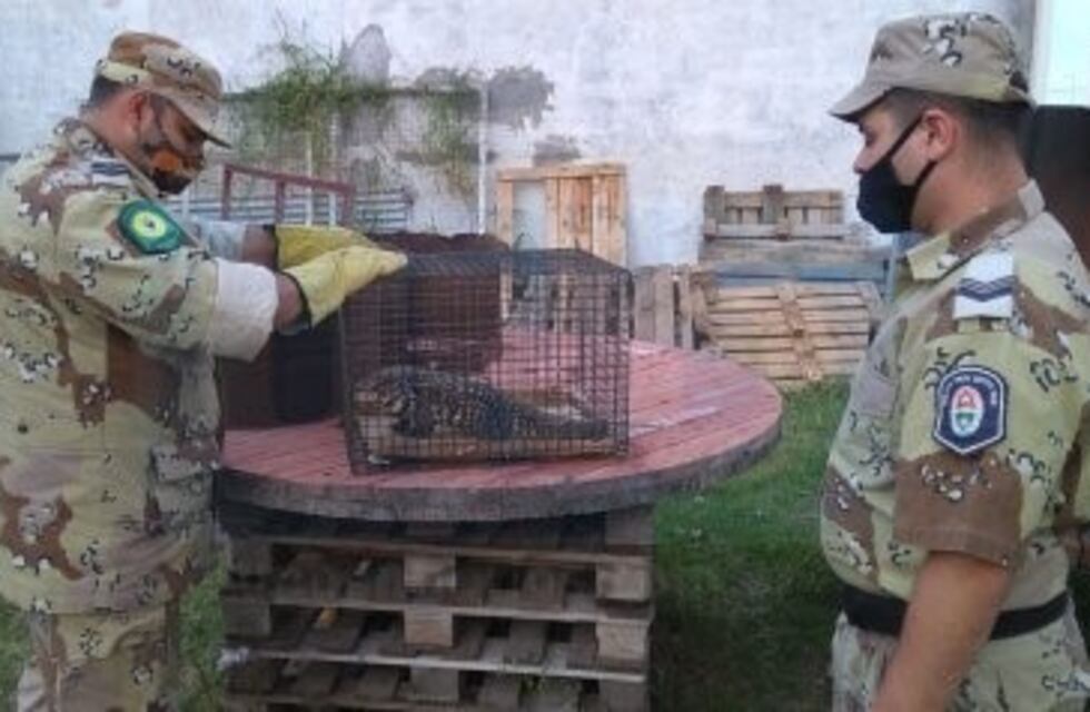 Insólita visita en el correo de Paraná