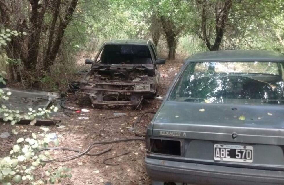 Encuentran en Maipú once autos robados y desmantelados