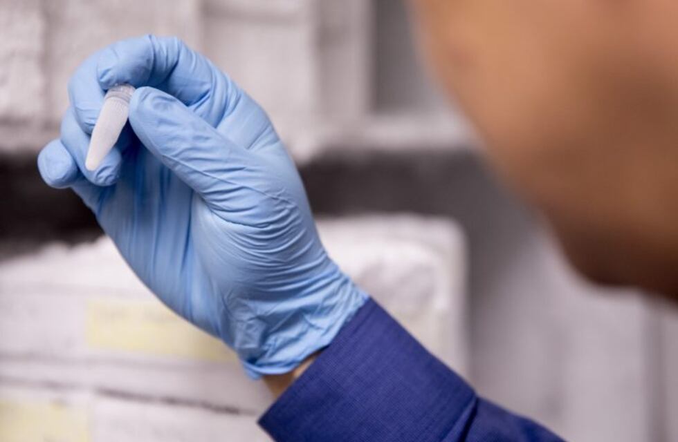 Coronavirus: 60 personas aisladas en el ministerio de Salud por un paramédico que dio positivo