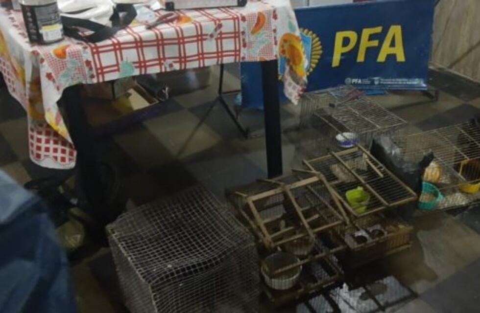 Almaceneros detenidos con droga y aves silvestres en cautiverio