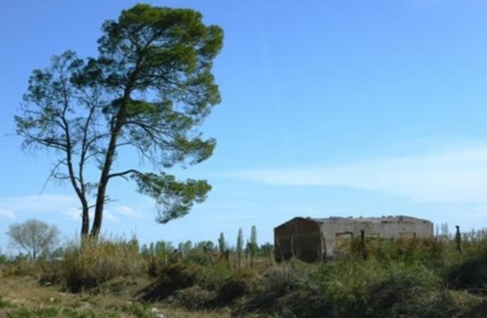 Serían condonadas deudas a fincas abandonadas para impulsar la recría de ganado