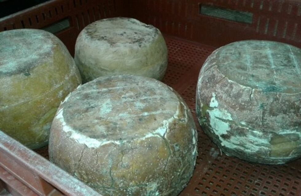 ¡Se quedaron con el queso sin vender! Fueron decomisados más de 700 kilos de productos lácteos
