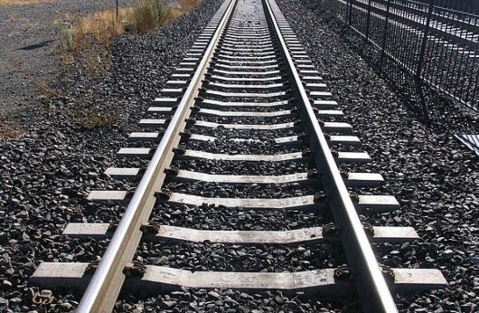 Fue atropellado por un tren y su perro no quiso separarse del cadáver