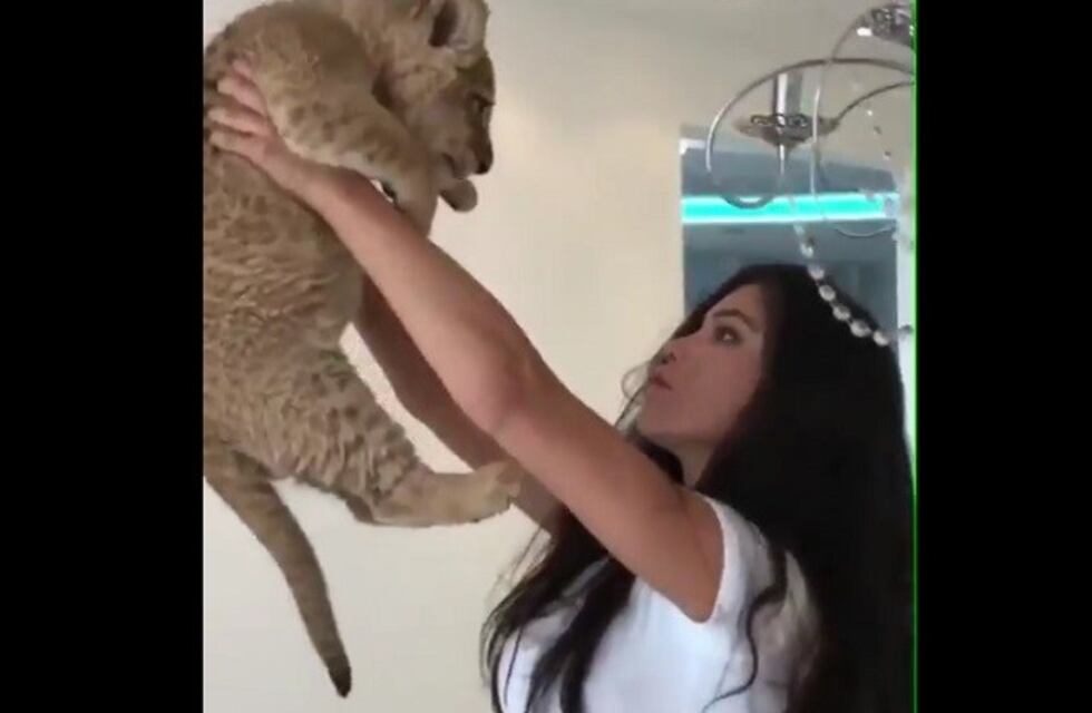 Intentó recrear una escena de la película "El Rey León" y no salió como esperaba