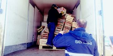 Evitan la comercialización de hortalizas sin rotulación adecuada