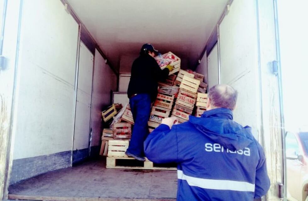 Evitan la comercialización de hortalizas sin rotulación adecuada