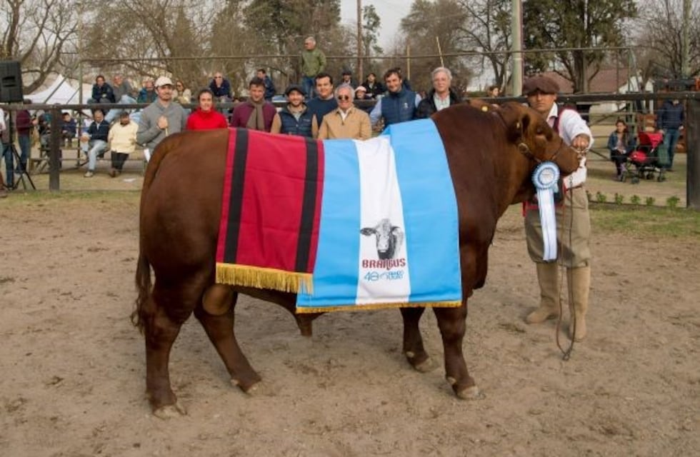 Habrá eximición de impuestos para transacciones en La Rural de Salta