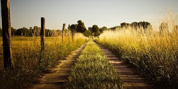 280 familias rurales del interior chaqueño recibirán financiamiento del Estado para sus emprendimientos