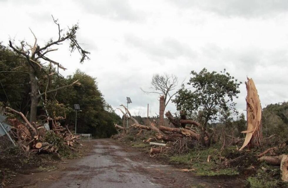 Un terremoto de magnitud 4 sacudió el centro de Italia