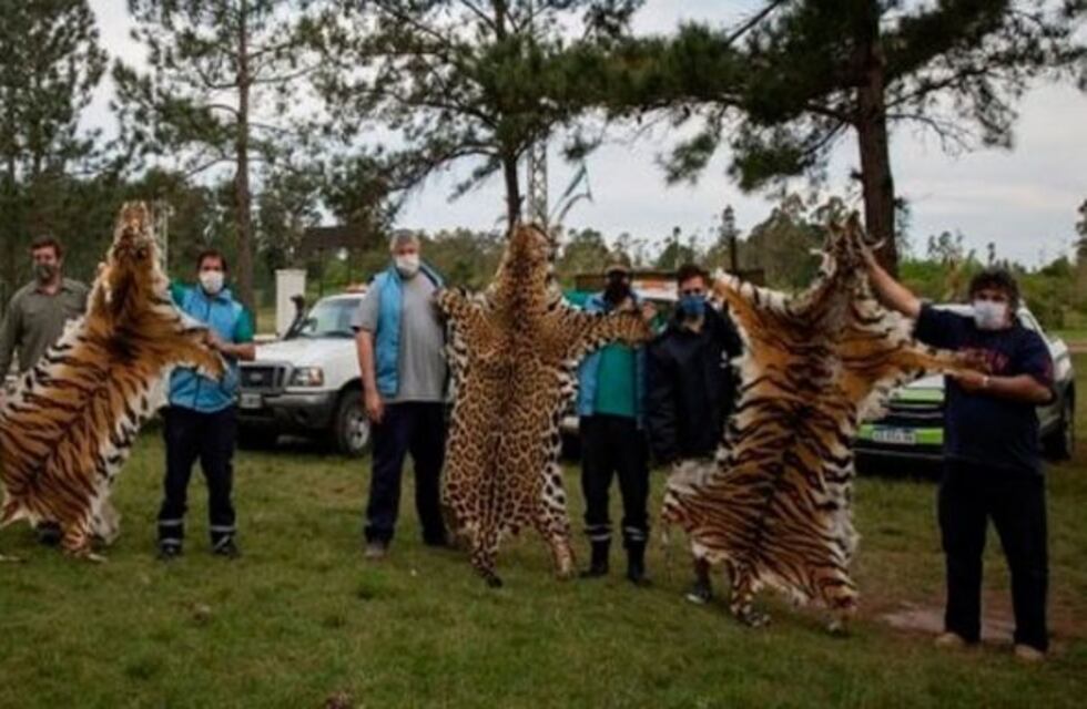 Faltan animales inventariados en el zoológico de Concordia