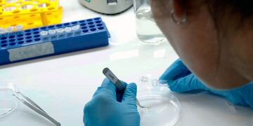 Coronavirus\u002E