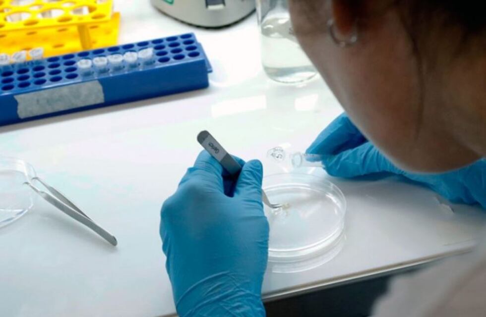 Segunda muerte por coronavirus en Argentina: un chaqueño de 61 años que había regresado de Europa