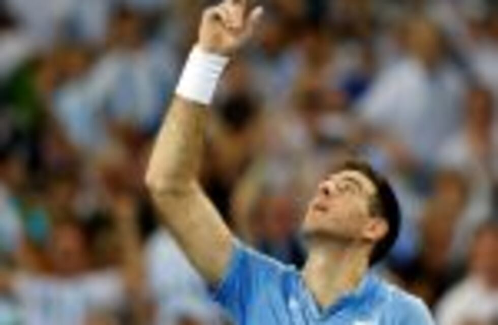 Del Potro venció 6-4, 6-7, 6-3 y 7-5 a Karlovic y emparejó la serie