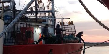 Descarga de calamar en Puerto Rosales