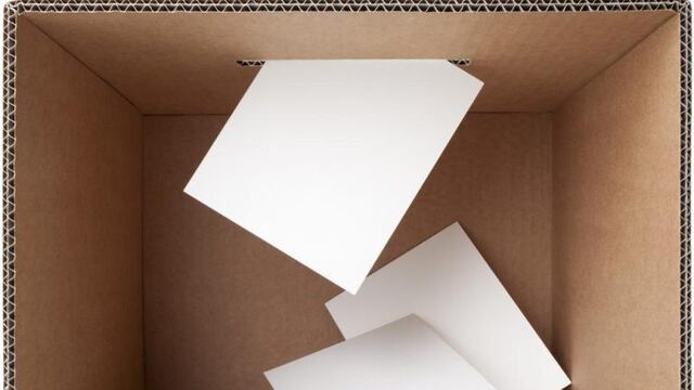 El voto en blanco es la "tercera fuerza" en la provincia de Mendoza.