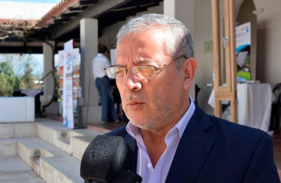 Planes oficiales apuntan a una mayor industrialización de la madera jujeña