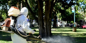 La Municipalidad de La Plata intensifica operativos de fumigación (Twitter Municipalidad de La Plata)