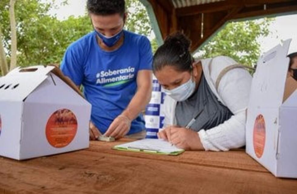 Aportes de producción para producción avícola de las familias en el campo