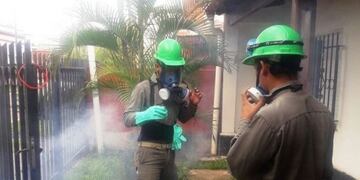 Fumigaciones en Saladas por los nueve casos de dengue confirmados\u002E