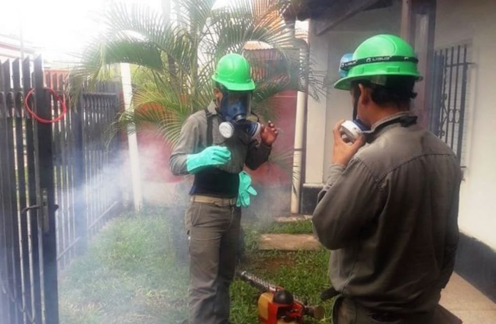 Eliminan criaderos de dengue y preparan fumigaciones para las fiestas provinciales