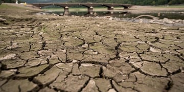 Calentamiento global: en los próximos 5 años no dará tregua\u002E (DPA)