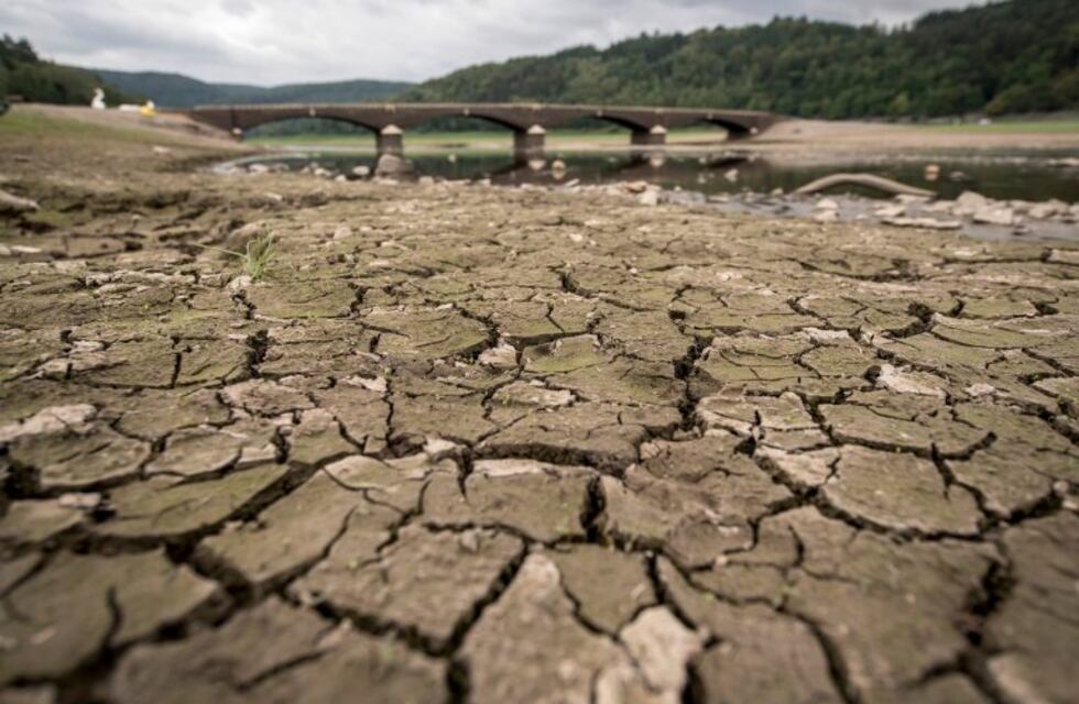 Cada vez más calor: así será el clima en los próximos cinco años
