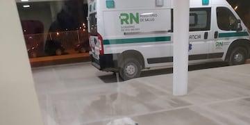 Mascota del accidentado afuera del hospital (Foto: Río Negro),