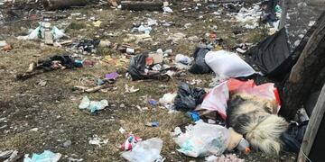 Hallazgo de animales muertos en un predio municipal de Tolhuin