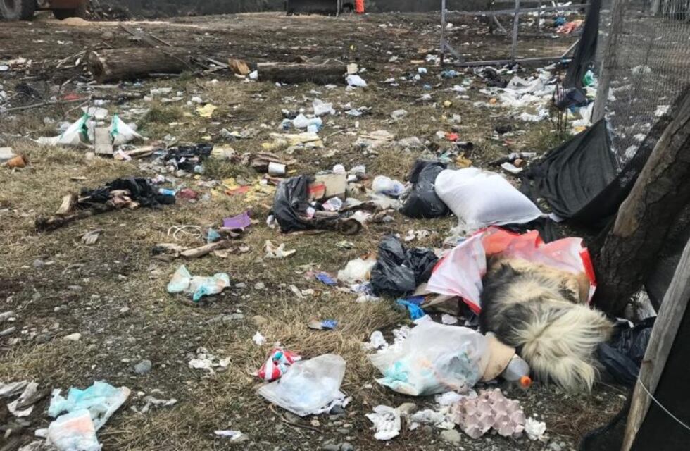 Denuncian en las redes sociales el hallazgo de animales muertos en Tolhuin