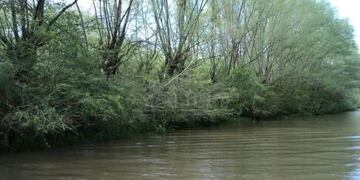 El arroyo Gambado, en el Delta del Río Paraná (Foto: web)