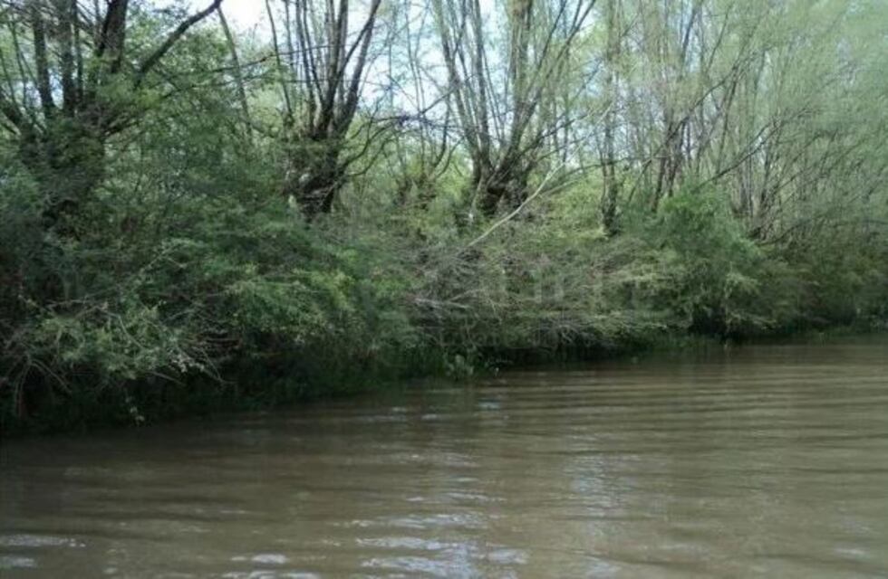 Tigre: encontraron un cadáver decapitado en la pileta de una casa del Delta