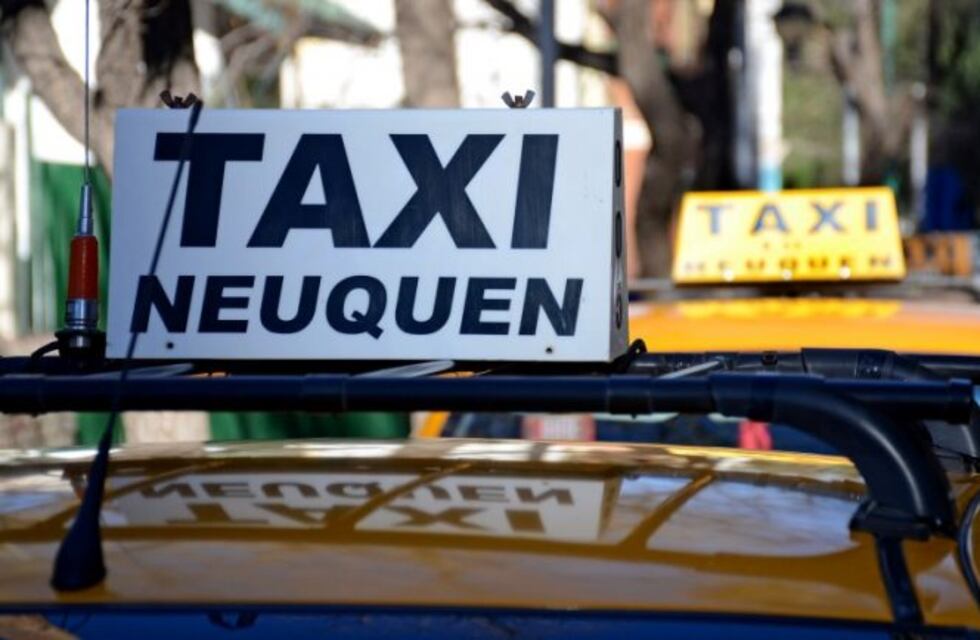 Desde el municipio esperan que las cámaras en los taxis funcionen desde enero