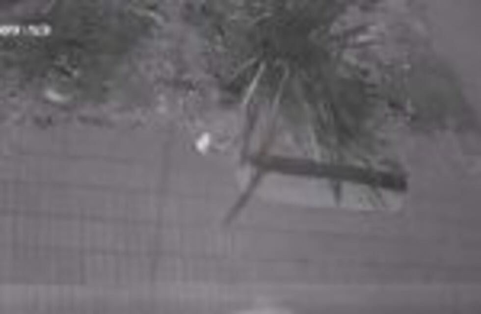 Intentaron incendiarle la casa a un candidato a dirigente de Argentino de Quilmes