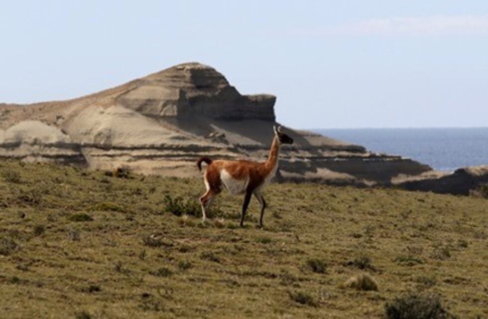 Turismo: se encuentra abierto el acceso a la ruta Provincial Nº 63