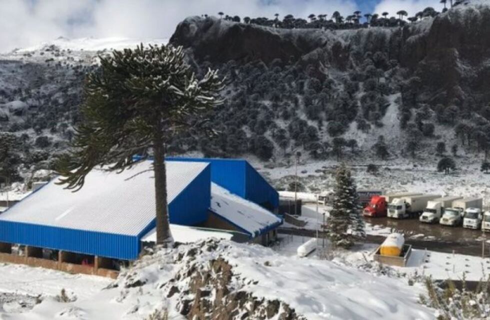 Neuquinos repatriados: regresarán en vehículos particulares 56 personas varadas en Chile