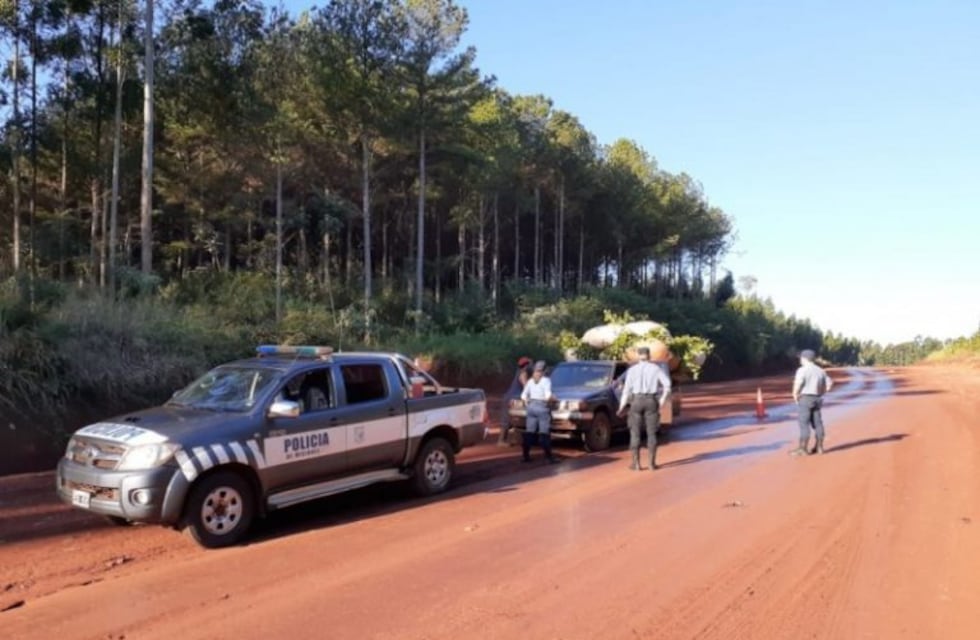 Incautaron una camioneta sin documentos que transportaba yerba mate