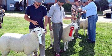 Expo Ovina\nCrédito: Web