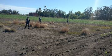 Se realizó un rastrillaje en Miramar: ahora seguirían en la zona de Ramona
