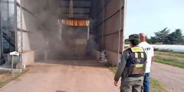 Gendarmería Nacional secuestró 4,5 toneladas de soja que no estaban declaradas\u002E (Prensa Gendarmería)