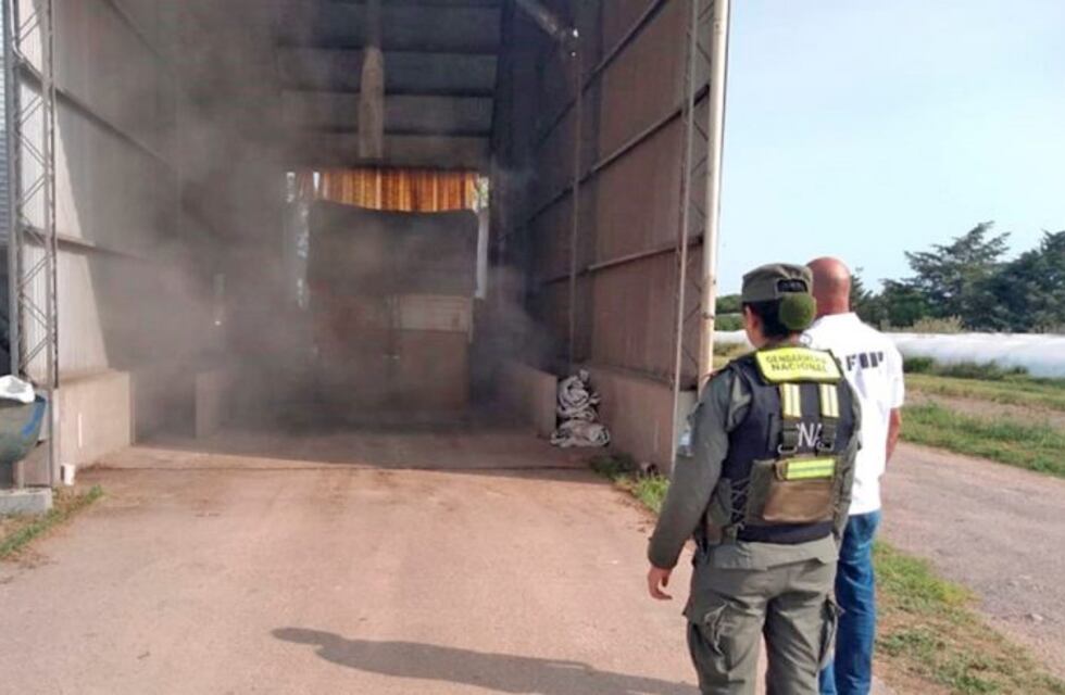 Decomisaron 4,5 toneladas de soja sin declarar que venían a Río Cuarto