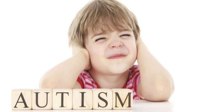 Jornada de educación inclusiva en el Sum de la Escuela Técnica de Tres Arroyos