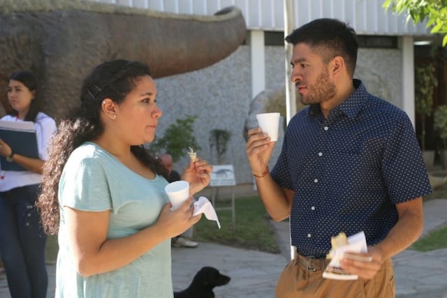 tortas fritas\u002E imagen ilustrativa\u002E