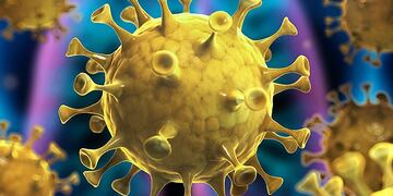 Muere otra persona por COVID-19 en Gualeguaychú\u002E\nCrédito: eb