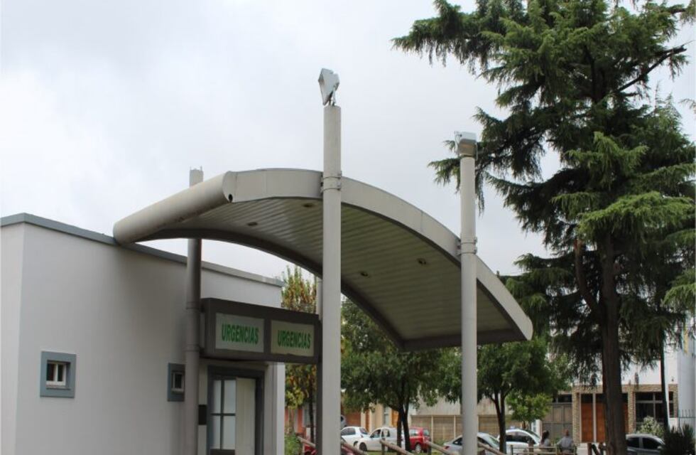 Daños y destrozos en el santuario del Hospital Abel Ayerza