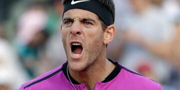 Juan Martu00edn Del Potro avanzu00f3 a octavos de final en el ATP de Lyon.