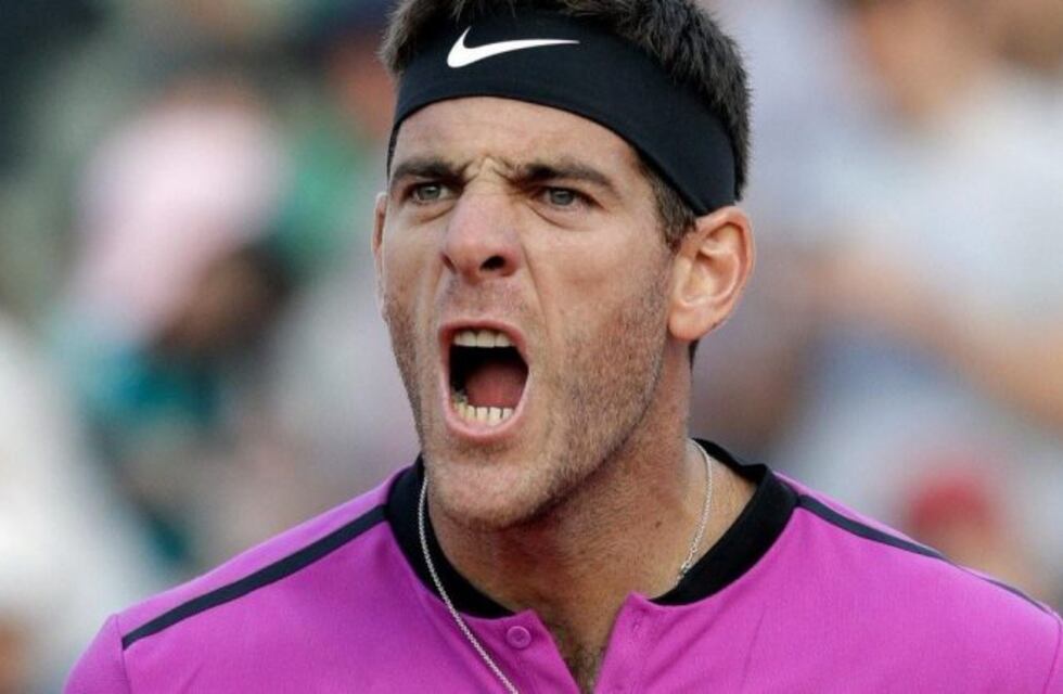 Del Potro avanzó a los octavos de final en el ATP 250 de Lyon