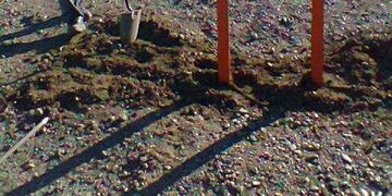 tareas de emellecimiento en barrio Bicentenario